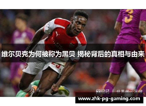 维尔贝克为何被称为黑贝 揭秘背后的真相与由来