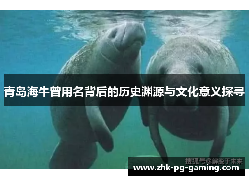 青岛海牛曾用名背后的历史渊源与文化意义探寻