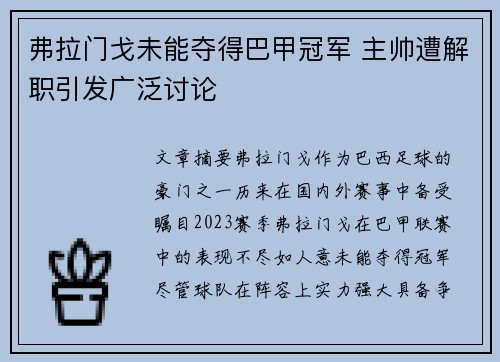 弗拉门戈未能夺得巴甲冠军 主帅遭解职引发广泛讨论 弗拉门戈未能夺得巴甲冠军 主帅遭解职引发广泛讨论